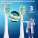 Buy 10 Pack Toothbrush Replacement Heads for 7AM2M AM101/AM105 Electric Toothbrush - Soft Brush Bristles Lightweight International Shipping Available - Buy Online on GoSupps.com