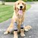 Soft and Breathable Dog Elbow Brace Protector Prevent Licking and Wearable Striped Design for Enhanced Style and Functionality (XL) - Buy Online on GoSupps.com