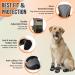 SlowTon Adjustable Breathable Dog Boots | Non-Slip Rubber Sole Paw Protectors for Hot Pavement | Reflective Strap, Black, Size 4 - Buy Online on GoSupps.com