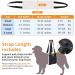 Adjustable Dog Lifting Harness for Weak Rear Legs | Support & Rehab Sling for Senior, Injured, and Disabled Dogs | ACL Surgery Recovery Aid | Medium Size - Buy Online on GoSupps.com