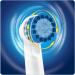 Oral-B Sensitive Clean Pack of 4 - 3 Sensitive Clean Brushes + 1 Sensi Ultrathin Brush - Buy Online on GoSupps.com