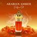 ARABIAN PERFUMES & OILS Arabian Amber Perfume Oil - Spicy Warm Woody Fragrance Oil for Men and Women - Travel Size Perfume 0.10 Fl. Oz. - Buy Online on GoSupps.com