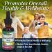 Answer Dandelion Root Extract - Supports Liver Health | Gluten-Free & Non-GMO | 1oz - Buy Online on GoSupps.com