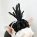 Funny Dog & Cat Role Play Wigs | Halloween Christmas & Party Costumes for All Pet Sizes - Buy Online on GoSupps.com