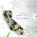 HBNO California Bottled Jasmine Fragrance Oil 4 fl oz (120 ml) - Premium (Fragrance) for Aromatherapy - Jasmine Fragrance Oil for Diffuser and Candle Making Jasmine 4 Fl Oz (Pack of 1) - Buy Online on GoSupps.com