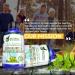 Buy Bestmade Vegan Lactose-Free Organic Kali Sulphuricum 6X Cell Salt - International Shipping Available - Buy Online on GoSupps.com