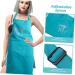 FOMIYES Kitchen Aprons Gardening Apron Bar Apron Adjustable Barber Apron Polyester Apron Adjustable Straps Work Apron Aprons for Hair Stylist Hairstylist Apron Fashion Shoulder Strap Miss 110x66cm - Buy Online on GoSupps.com