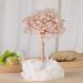 Kyeygwo 3 Color Healing Crystal Money Tree - Feng Shui Gemstone Bonsai Decor | Natural Mountain Druse Base - Buy Online on GoSupps.com