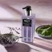 NEST New York Cedar Leaf & Lavender Liquid Hand Soap - 10 Fl Oz - Buy Online on GoSupps.com