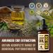 Premium Hemp Oil 4-Pack - Natural Extract for Anxiety, Stress, Relaxation & Sleep - Vegan & Non-GMO - Organic Hemp Tincture Drops by LUCKCHAN - Buy Online on GoSupps.com
