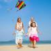 Buy Tshaoun 3-Piece Portable Rainbow Kites for Kids | Beginner-Friendly Outdoor Flying Fun - Buy Online on GoSupps.com