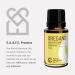 Buy Rocky Mountain Oregano Essential Oil 15 ml - Premium Quality Aromatherapy Oil for Immune Support & Wellness - Buy Online on GoSupps.com
