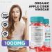 ACV Keto Health Gummies - 750mg Advanced Weight Loss with Apple Cider Vinegar - Shark AC Keto Supplement for Belly Fat - 60 Gummies - Buy Online on GoSupps.com