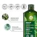 Yves Rocher Fortifying Density Shampoo - Cleanse Scalp & Strengthen Hair | 10.1 fl oz - International Shipping Available - Buy Online on GoSupps.com