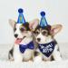 Dacitiery Dog Birthday Party Supplies - Plaid Bandana, Hat, Bow Tie Collar & Number Set for Medium Large Puppies - Buy Online on GoSupps.com