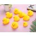 16 PCS Mini Rubber Duck Bath Duck Toys for Toddlers Boys Girls Squeak and Float Yellow Ducks in Bulk Ducks Baby Shower Duck Decorations Party Favors (2.2''-16pcs Yellow Ducks) - Buy Online on GoSupps.com