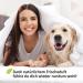 ZOOPRINZ Schromple Risiciations Concentrate - Effective Odor Neutralizer & Enzyme Cleaner for Household & Animal Care - 1L Urine Saliva Vomit Odor Eliminator - Buy Online on GoSupps.com