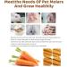 300g Bunny Chew Toys | Natural Carrot Sticks Teeth Grinding Toy for Rabbits, Hamsters, Guinea Pigs | Improves Dental Health | Small Animals Toys - Buy Online on GoSupps.com