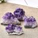 1PC Natural Amethyst Cluster Quartz CrystalStones Reiki Stones Crystal Point Specimen Home Decoration Raw Crystals for Crystal Cluster (Color : Amethyst Size : 4PCS) 4PCS Amethyst - Buy Online on GoSupps.com