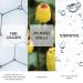 laCabine Collagen Boost Ampoule Serum - Fight Deep Wrinkles & Signs of Aging with Pure Collagen | International Shipping - Buy Online on GoSupps.com