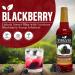 Syruvia Blackberry Syrup (25.4 fl oz) - Bursting with Bold Blackberry Goodness Kosher Gluten-Free Perfect for Enhancing Beverages Desserts and Culinary Creations - Buy Online on GoSupps.com