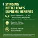 HAVASU NUTRITION Stinging Nettle Leaf Extract Liquid Drops (60 Servings) & Saw Palmetto Capsules (100 Servings) - Buy Online on GoSupps.com