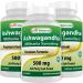 Best Naturals 3 Pack Ashwagandha Capsules for Relaxing Stress and Mood 500 mg 120 Count (Total 360 Capsules)