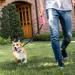 Ruayia New Classic Pull-Out Dog Leash for Dogs up to 52kg - Ultra-High Strength 360 Guide & Braking System - 3m Pink - Buy Online on GoSupps.com