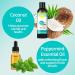 Coconut Oil Mouthwash for Teeth | Natural Teeth Whitening & Oil Pulling with Tongue Scraper | Brightening Coconut Peppermint Oil Mouthwash (2 Pieces) - Buy Online on GoSupps.com