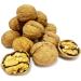 Premium Quality Raw Walnuts in Shell 500g - Ideal for Squirrels and Healthy Snacking - Buy Online on GoSupps.com