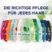 Schwarzkopf Schauma Men's Shampoo (2 x 400 ml) - Fortifying shampoo for men - For strengthened hair and nourishes the hair structure - Perfect for normal hair - Buy Online on GoSupps.com