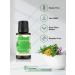 Horbaach Peppermint Essential Oil - 15mL | Pure and Refreshing - Buy Online on GoSupps.com