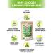 Premium Japanese Matcha Green Tea Powder - 100% Organic, Ideal for Matcha Latte, Smoothies, Desserts & Baking - No Sugar Added - 3.5 oz by AprikaLife - Buy Online on GoSupps.com