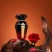 MAJESTY S SECRET PHEROMAX Perfumes for Women Set Gift Beauty Fragrance Sets for Women Women Eau de Parfum Spray 3.4 Fl Oz (TAN Admire) - Buy Online on GoSupps.com