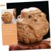 Solustre Wooden Hand Exercise Balls - Massage Device for Fitness & Gym Training - Buy Online on GoSupps.com