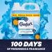 Comfort Blue Skies Fabric Conditioner XXL Mega Pack Fabric Softener Washing Liquid Lasting Freshness and Softness with Stay Fresh Technology for 100 Days 2 Packs of 160 Washes 4.8L 4.95 l (Pack of 2) - Buy Online on GoSupps.com