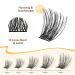 QUEWEL Eyelash Cluster - Mixed Length Natural Look Reusable DIY Extensions - Thin Band for Home Use (FD04) - 1 Pack - Buy Online on GoSupps.com