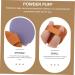 Didiseaon 2 Boxes Facial Puff Powder Mixer Cushion Foundation Puff Setting Powder Puff Compact Powder Puff Small Face Puff Dusting Powder Puff Cosmetics Natural Sponge Make up - Buy Online on GoSupps.com