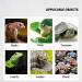 Buy Omem Reptile Coconut Brick & Dried Moss Set for Turtles | Warm Hibernation Floor Mat - Ideal Pet Supplies - Buy Online on GoSupps.com