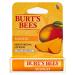 Burt's Bees Mango Lip Balm 0.15 oz - Pack of 12 | Hydrating & Nourishing | International Shipping Available - Buy Online on GoSupps.com