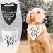 WLLHYF My Humans are Getting Married She Said Yes Dog Bandana Pets Scarf Triangle Bibs Kerchief Set Wedding Photo Prop Decoration Pet Costume Accessories for Dog Lovers Small Medium Large Dogs Cats - Buy Online on GoSupps.com