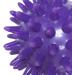 5 Set Spike Massage Balls - Exercise Foot Massage for Back Hands & Feet - Purple 6cm - Buy Online on GoSupps.com