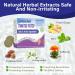 Tinnitus Relief Patches - Natural Herbal Treatment for Ringing Ears | Improve Hearing & Boost Blood Circulation - 50Pcs - Buy Online on GoSupps.com