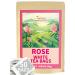 TeeLux Rose White Tea Bags 50 Count Blend White Tea with Natural Rose Flavor Rich in Antioxidants Smooth & Fragrant Biodegradable Tea Bag Rose White Tea 50 Count (Pack of 1)