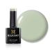 BLUESKY Gel Polish Plant a Hope SS2002 Gel Dissolvable Nail Polish Green Pastel Pale 10 ml