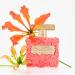 Oscar de la Renta Bella Tropicale Eau de Parfum 1 Fl Oz (Pack of 1) - Buy Online on GoSupps.com