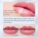 Rosarden Ginger Plump Lipstick - Daily Lip Gloss for Moisturizing and Reducing Lines - Buy Online on GoSupps.com