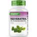 Resv ratrol - 520 mg par g lule - 98% trans-resv ratrol de l'extrait de racine de renou e du Japon 100:1 + pip rine pour une biodisponibilit optimis e - 60 g lules - Hautement dos - Vegan