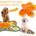 Snuffle Mat for Dogs Interactive Dog Enrichment Toys Mental Stimulation Boredom Play Mat Dog Treats Feeding Mat With Puzzles Encourages Natural Foraging Skills Orange - Buy Online on GoSupps.com