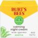 BURT'S BEES Calming Night Cream with Aloe and Rice Milk 1.8 oz - Sensitive Skin Night Cream - Buy Online on GoSupps.com